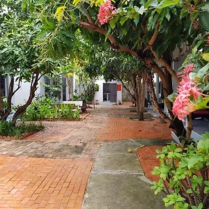 Cay Phuong Mũi Né